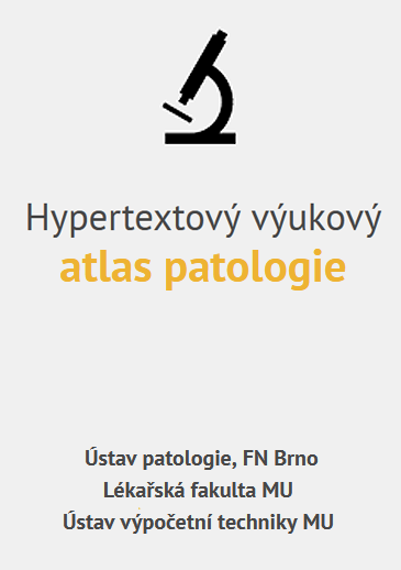 Obálka pro Hypertextový výukový atlas patologie