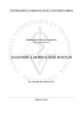 Související publikace: Anatomie a morfologie rostlin