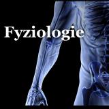 Fyziologie. (Cover image)